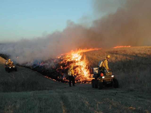 lighting prescribed fire