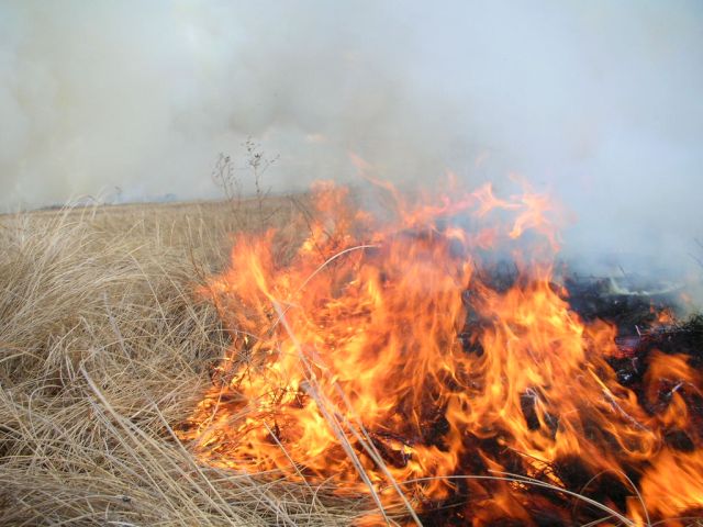 lighting a prescribed fire