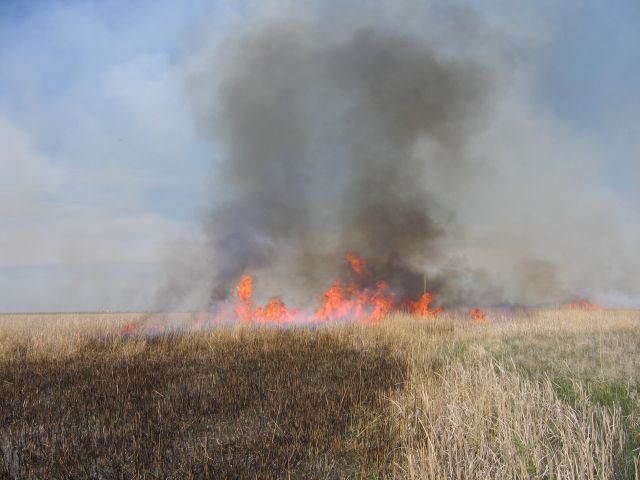 lighting a prescribed fire