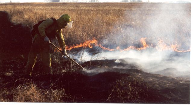 lighting prescribed fire
