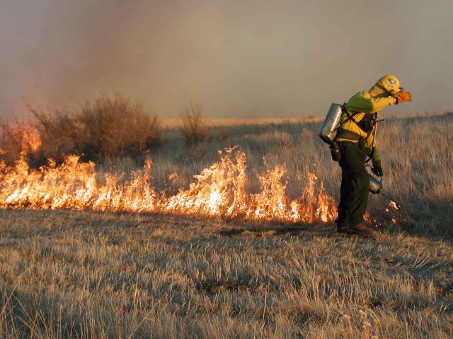 lighting prescribed fire